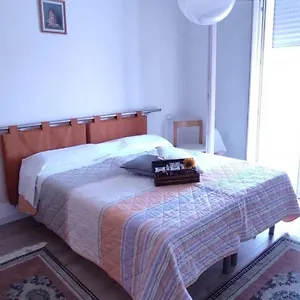 Casetta 42 Volpino